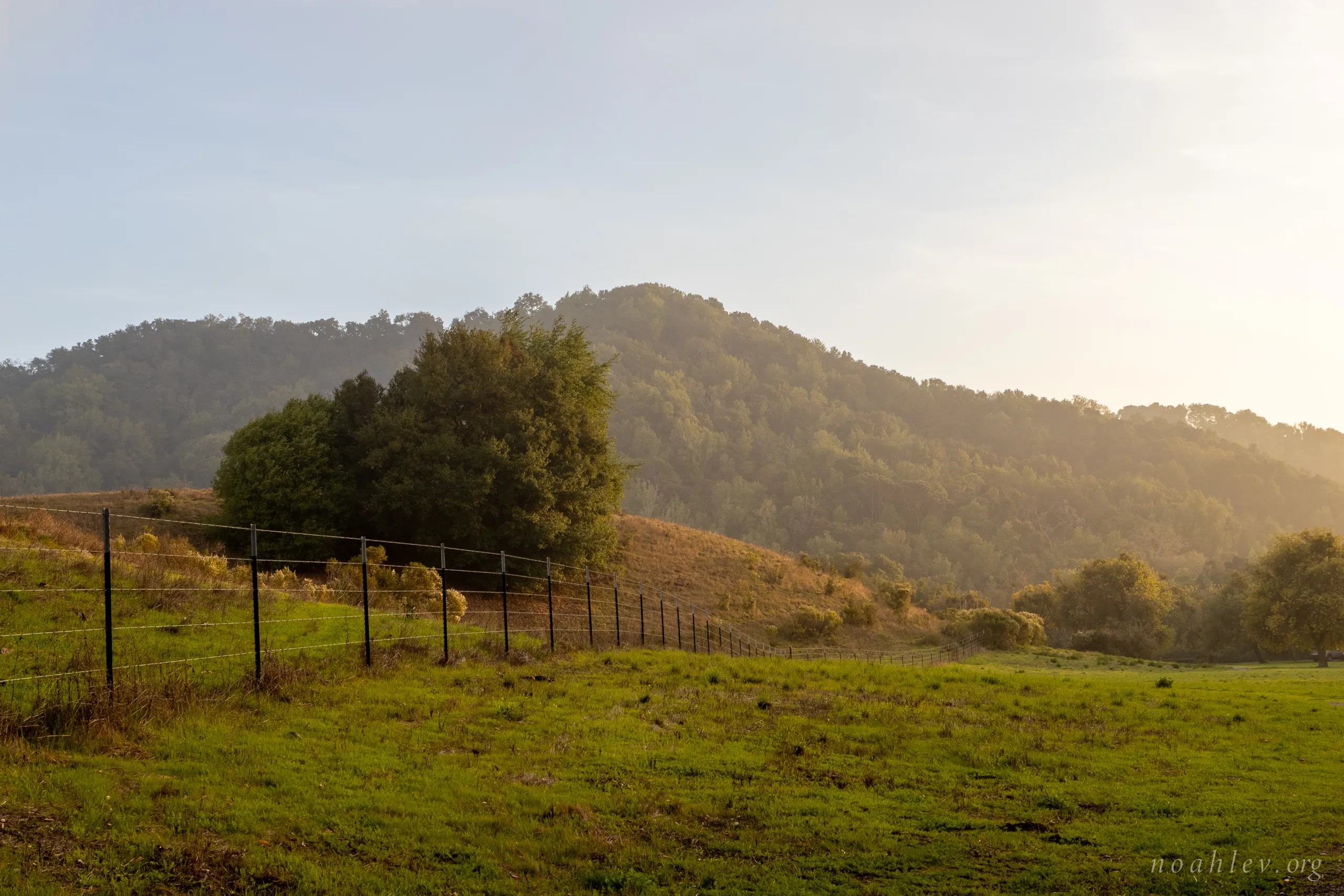 East Bay, California, 2025