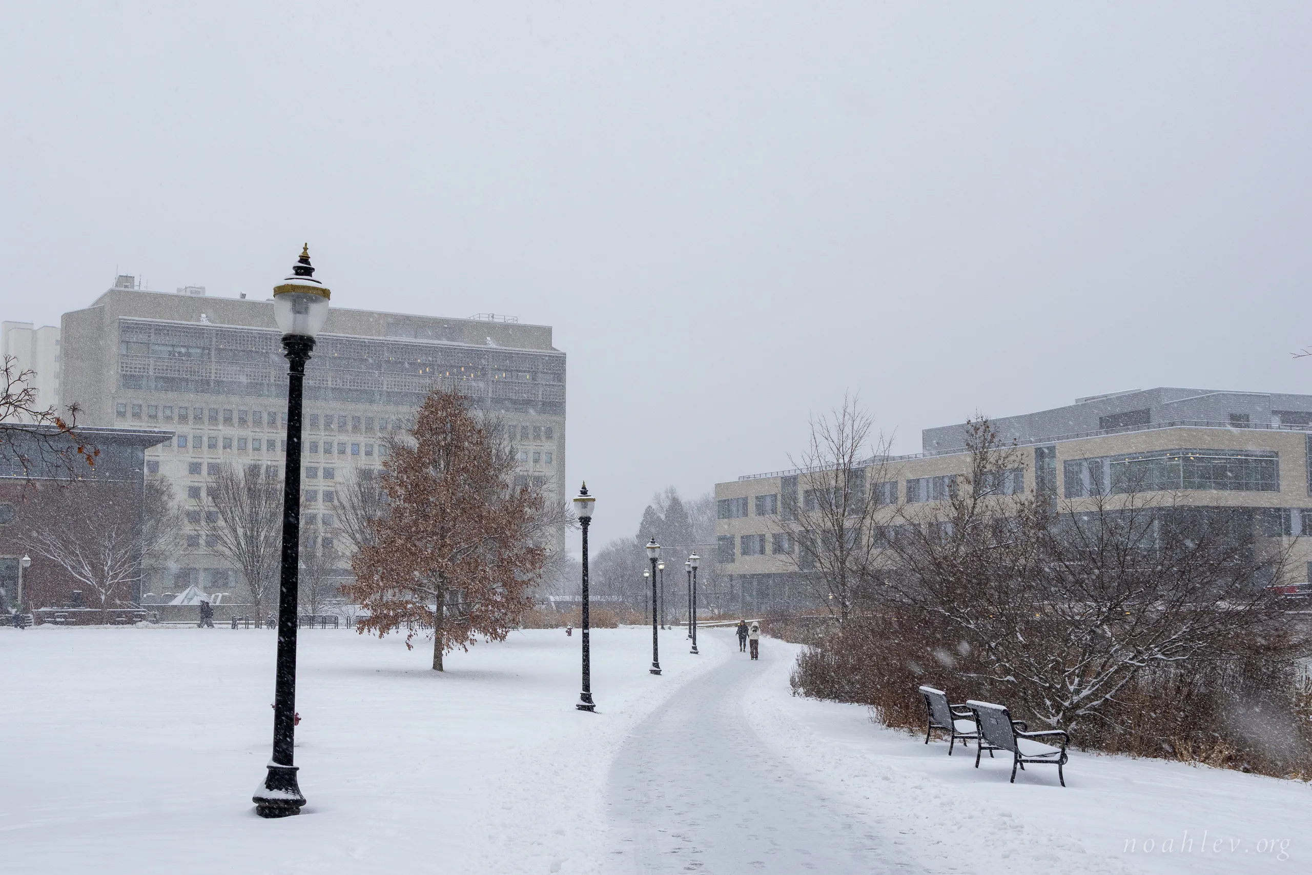 First Snow, UMass Amherst, 2025